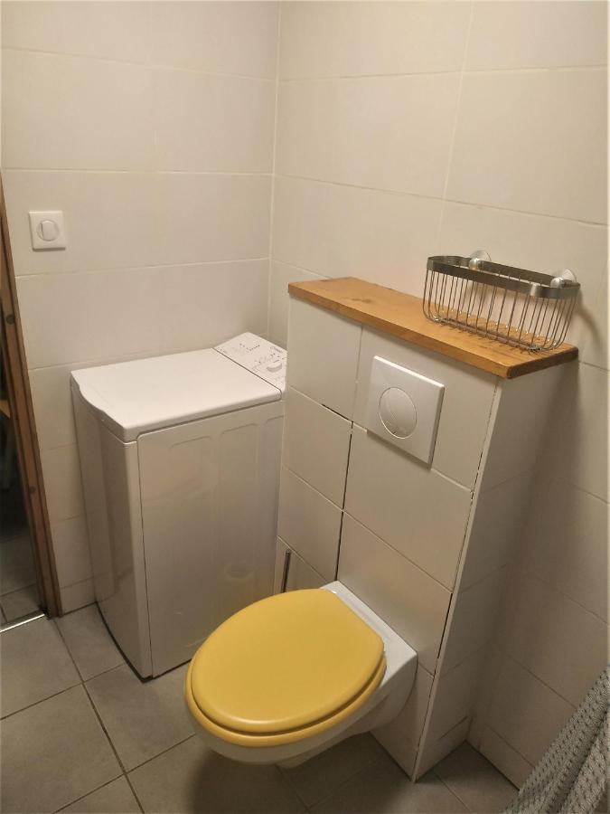 Appartement Dans Ferme Renovee Au Coeur Du Grand Massif Sixt 外观 照片
