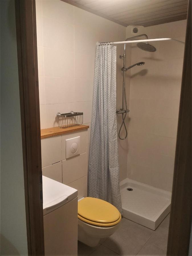Appartement Dans Ferme Renovee Au Coeur Du Grand Massif Sixt 外观 照片